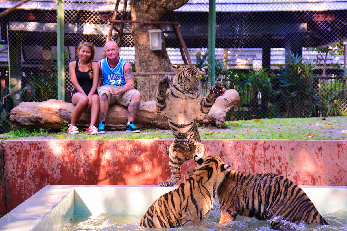 Tiger Kingdom, Kathu, Phuket