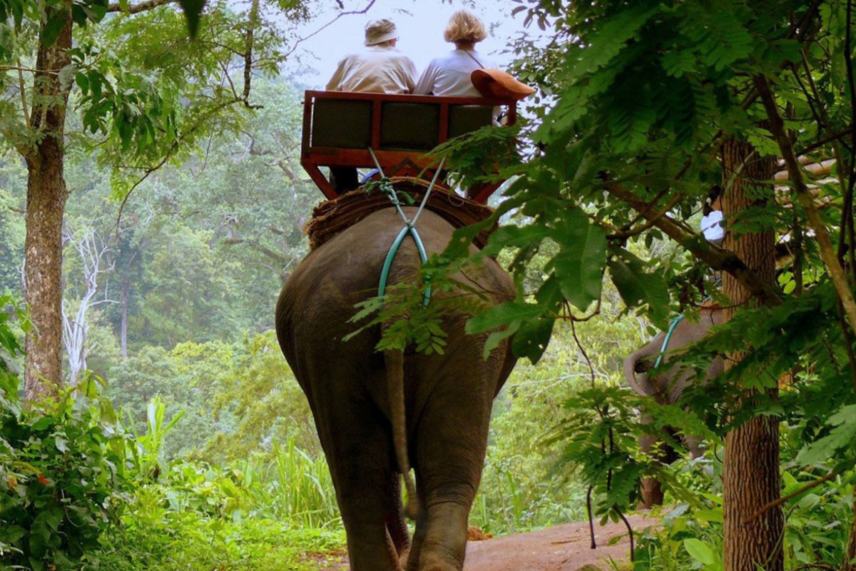 Elephant trekking tour, Phuket
