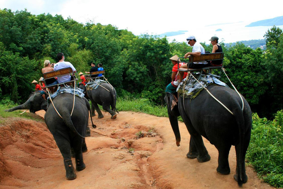 Elephant trekking tour, Phuket