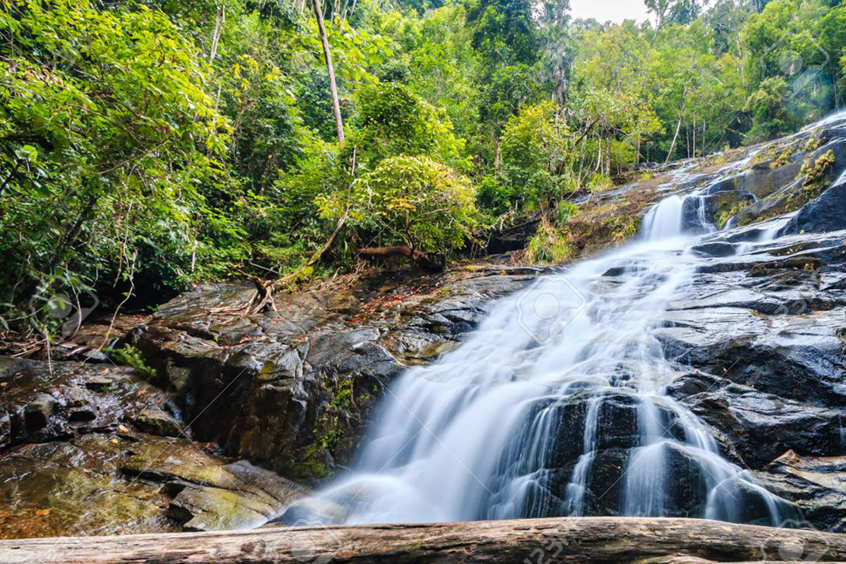 Khao Lak Safari Tour - Jungle trekking to waterfall