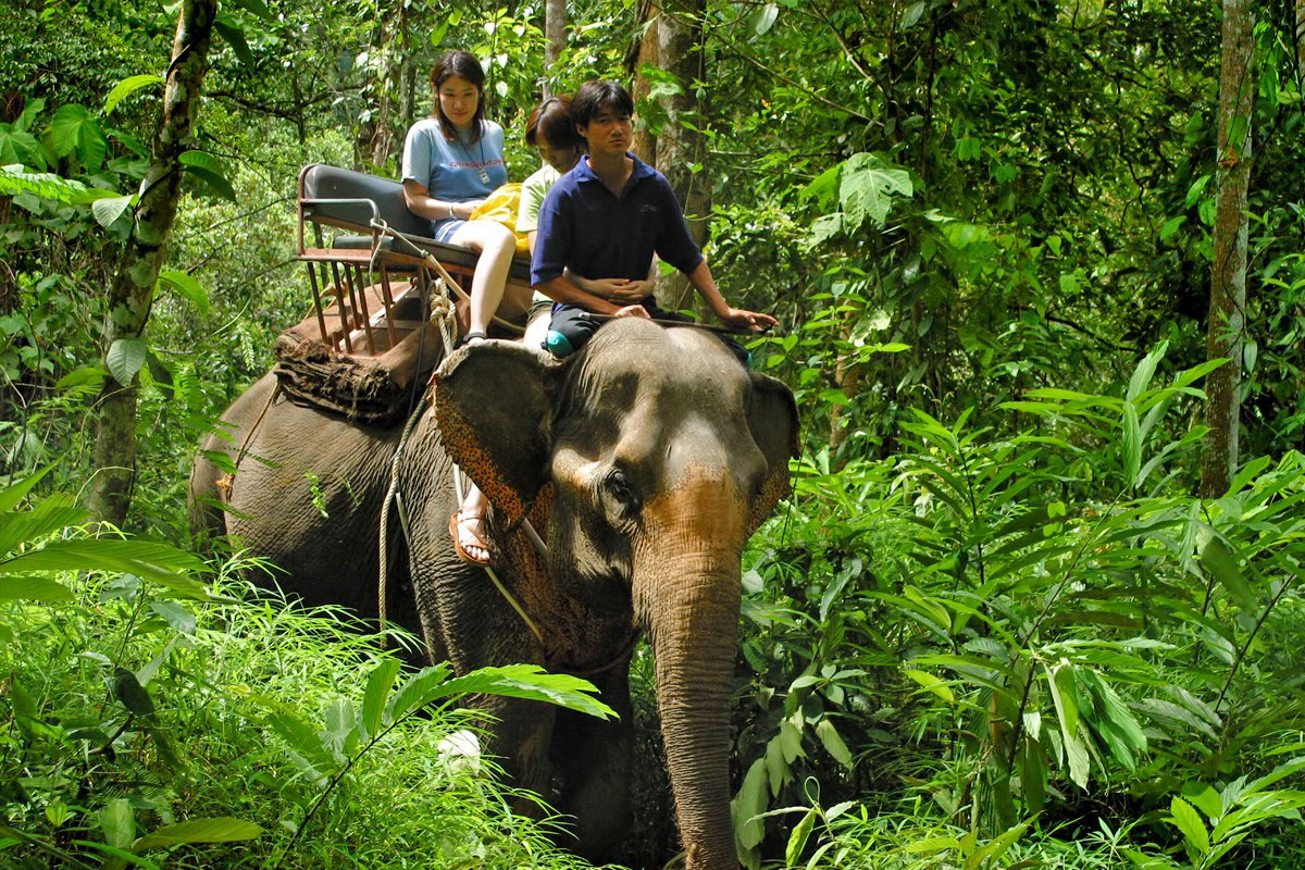 Khao Lak Safari Tour - elephant trekking